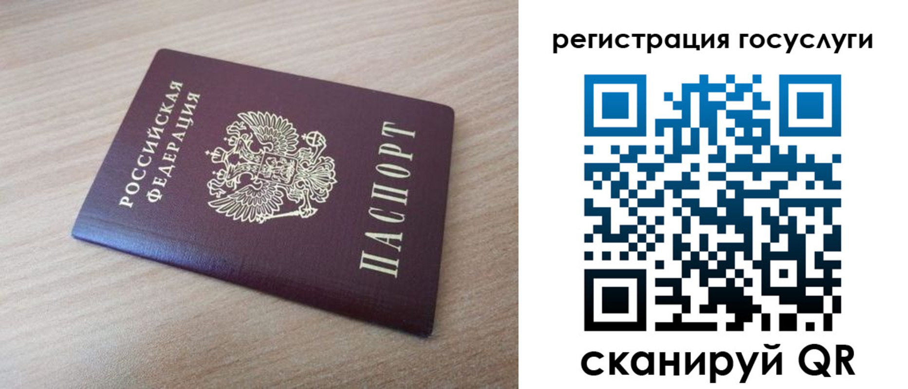 прописка гарантия в Сальске