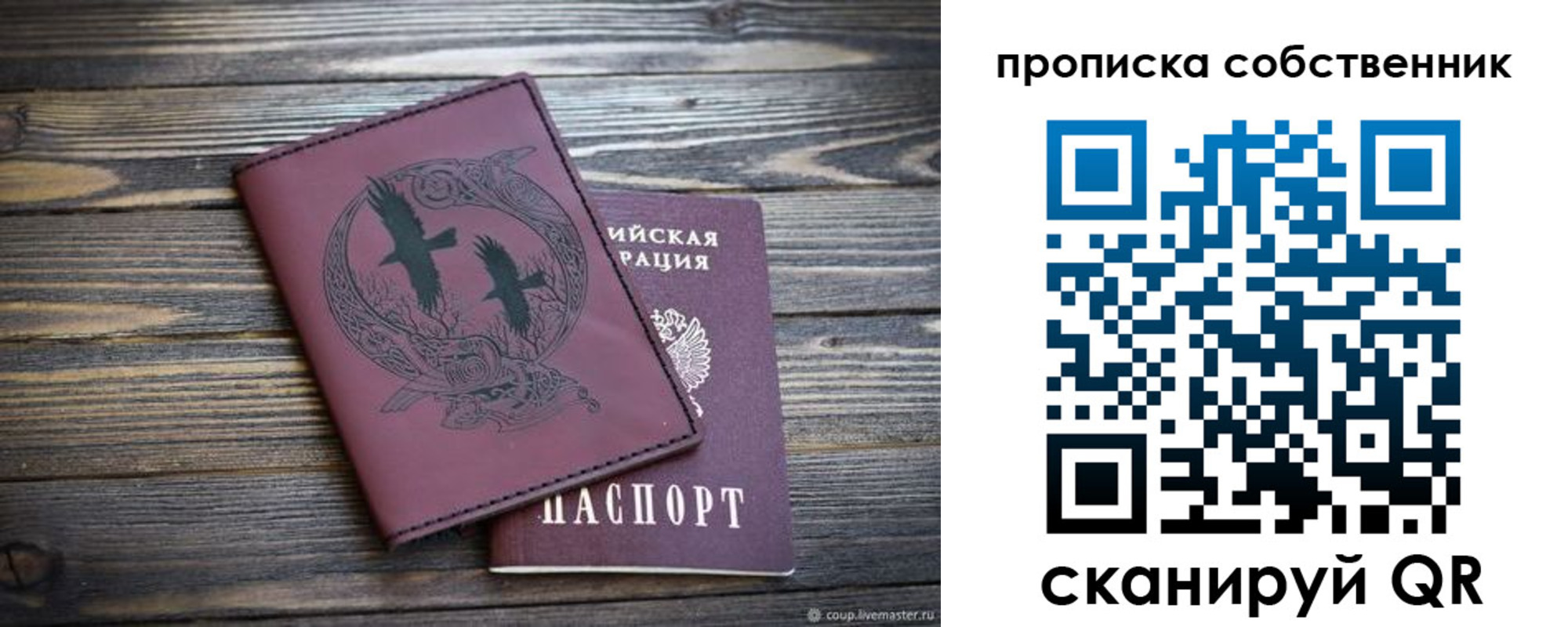 прописка в Сальске